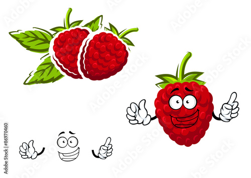Cartoon red raspberry fruit character