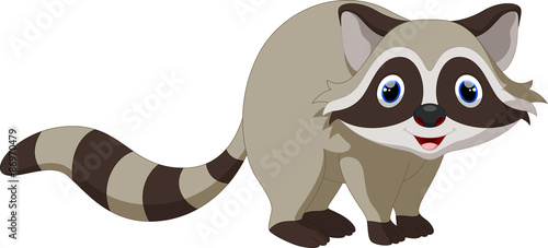 Cute raccoon cartoon