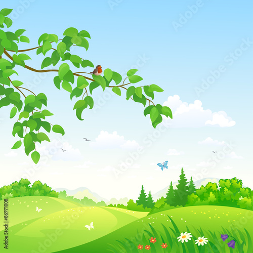 Summer hills and branch