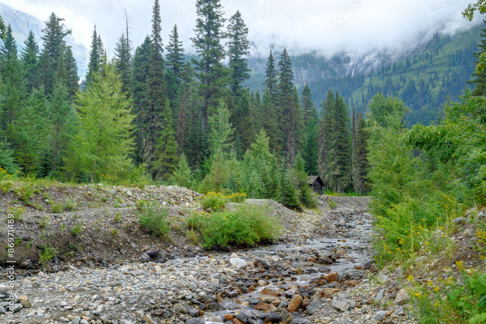 Fototapeta premium Small log cabin set back in the mountains in Glacier.