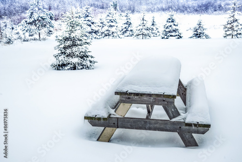Photo of a bench in snow.