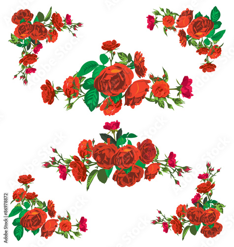rose