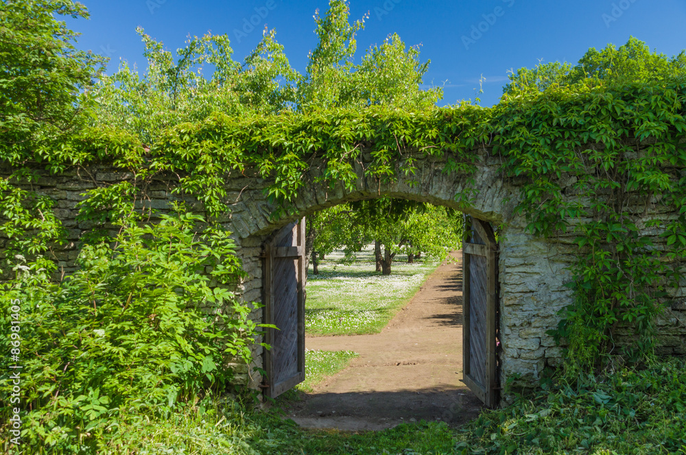 Opened wooden gate covered by green climbing plant Opened wooden gate covered by green climbing plant