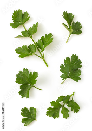 Wallpaper Mural fresh parsley isolated on white Torontodigital.ca