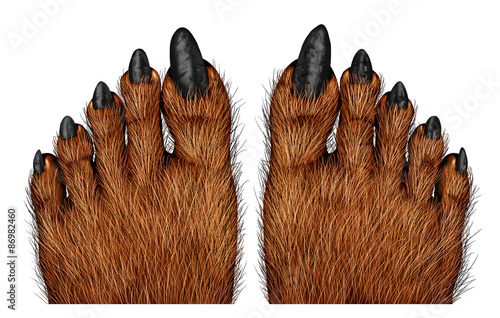 Werewolf Feet