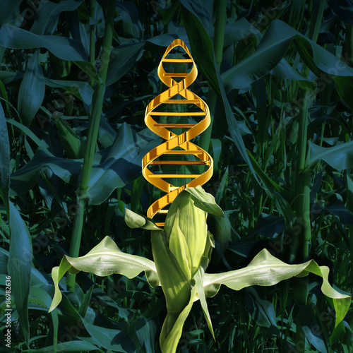 Foto Genetically Modified Crops
