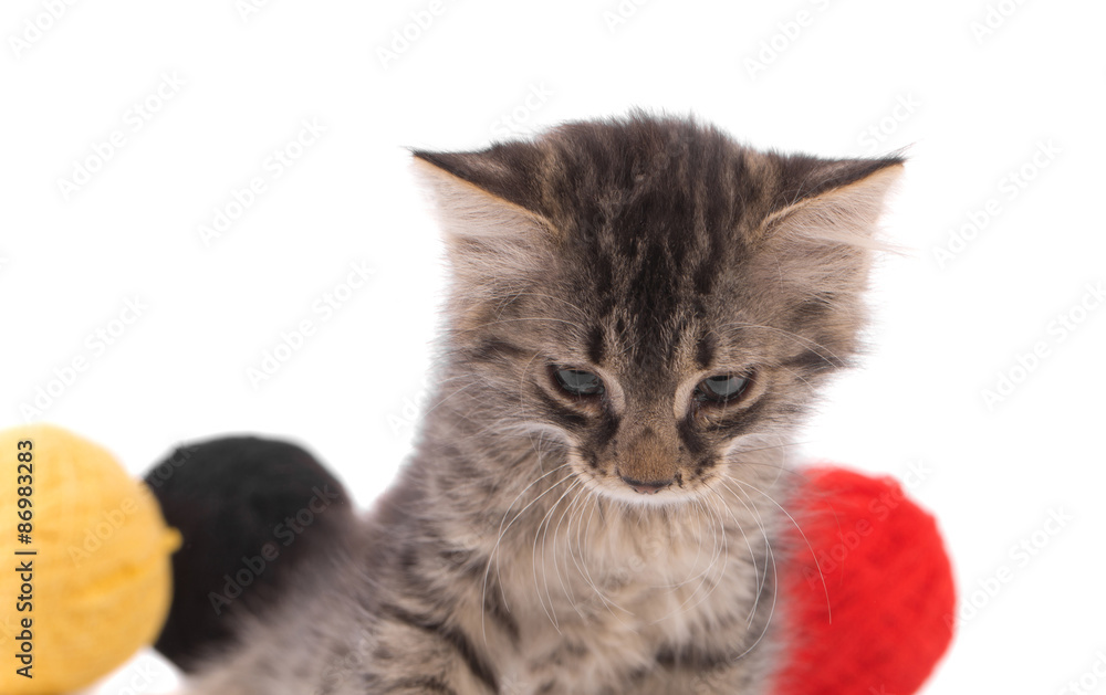 Little kitten with balls of wool. Little kitten with balls of wool.