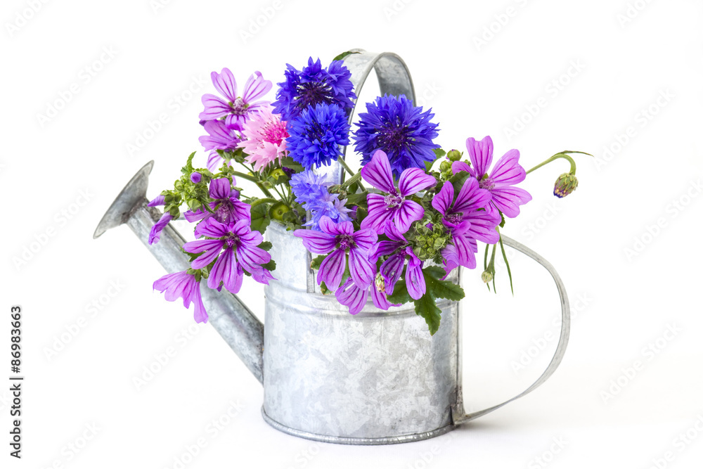 Naklejka premium wildflowers in watering can,