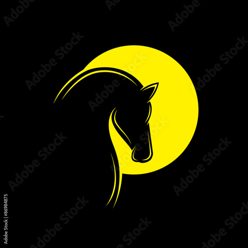 Vector image of an horse head. - Vector illustration