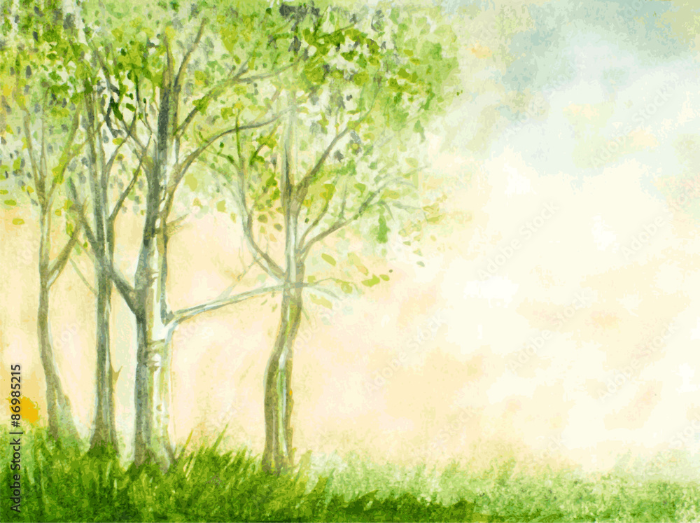 Fototapeta premium birch trees watercolor vector illustration. abstract nature back