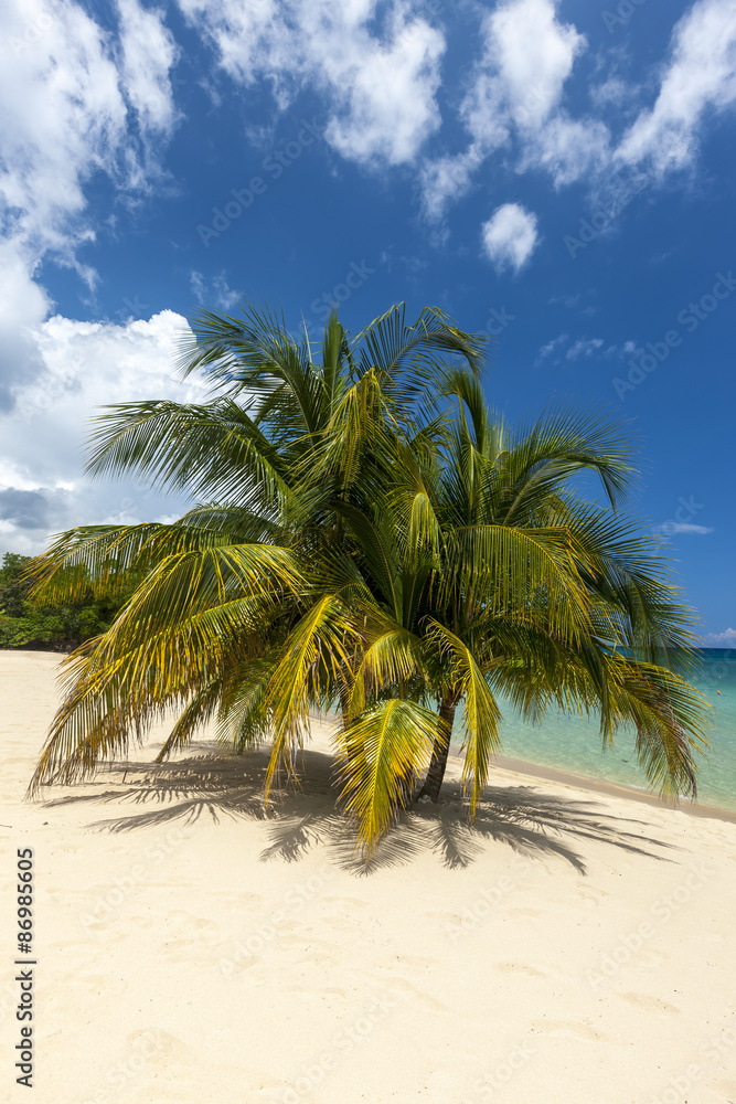 Beach on tropical island. Clear blue water, sand, palms. Beach on tropical island. Clear blue water, sand, palms.
