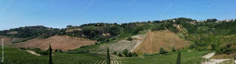 Naklejka premium Winnica w Toskanii