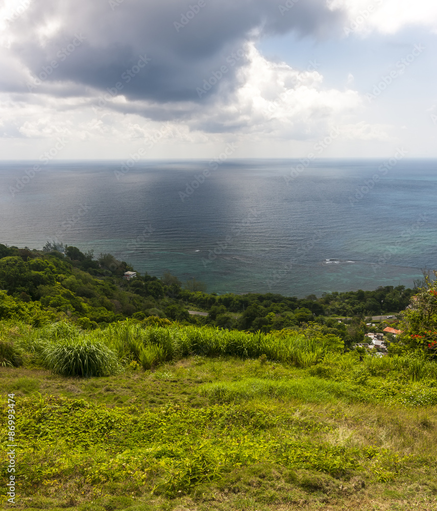 Caribbean beach on the northern coast of Jamaica