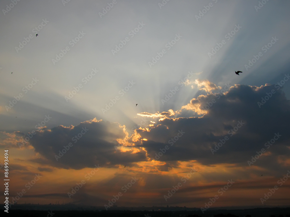 Morning sun rays through the clouds and high flying birds