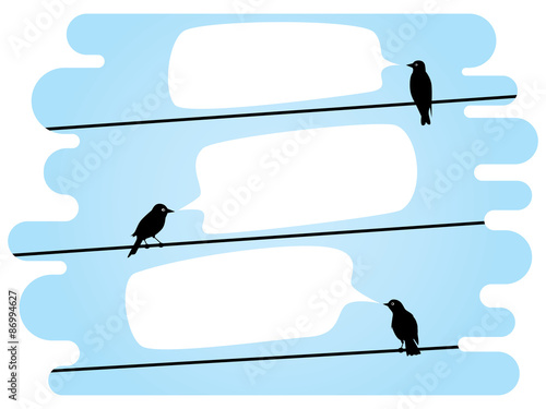 chatting birds on wires