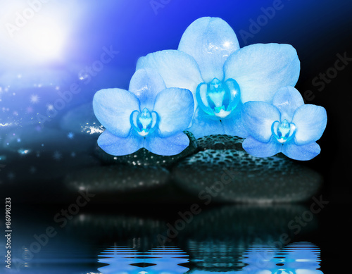Fototapeta Naklejka Na Ścianę i Meble -  Three blue orchid. Spa concept.