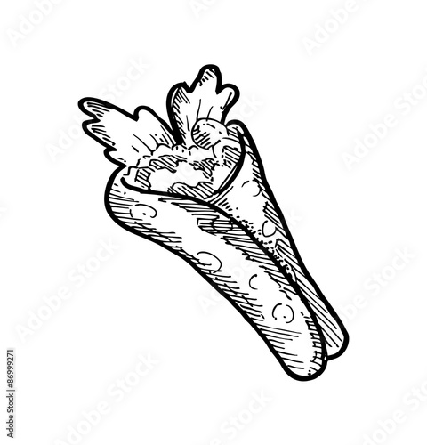 sketchy burrito