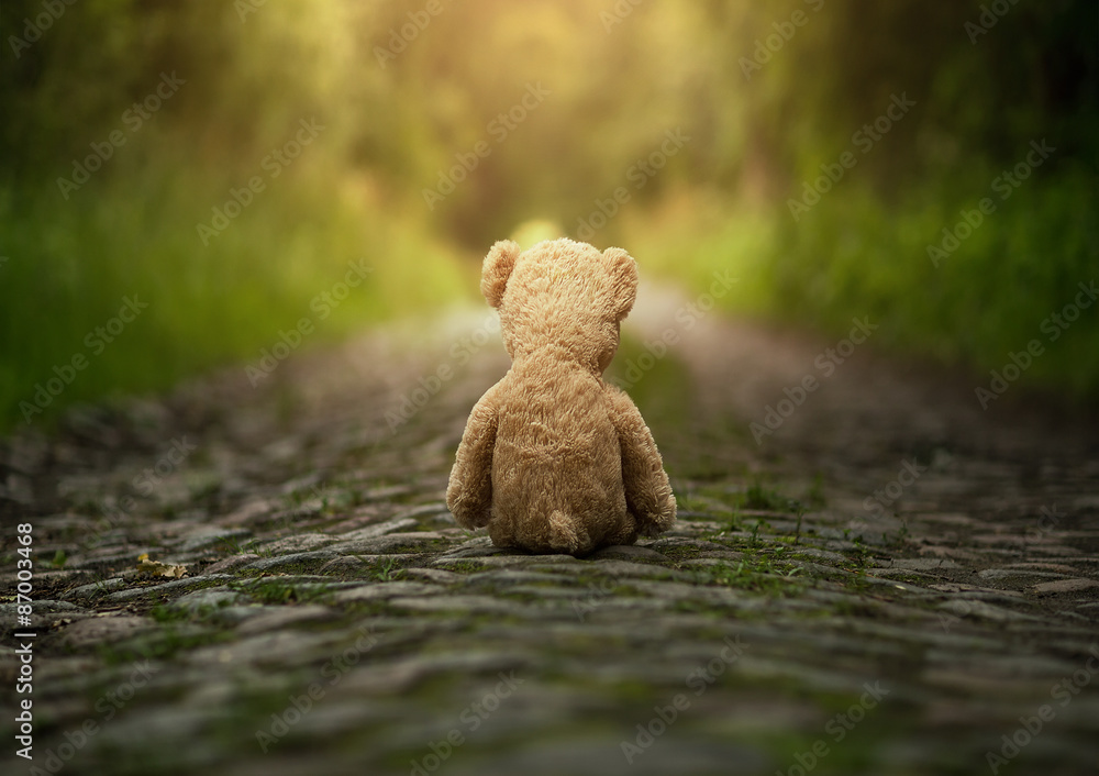 Φωτογραφία Lonely teddy bear on the road