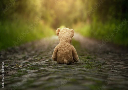 Fotografía Lonely teddy bear on the road