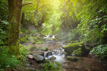 Deken met foto Bosrivier Waterval omringd door weelderig bos  © Lily