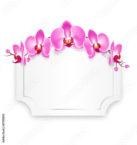 Pink Orchid Flowers with Celebration Frame Isolated on White Bac