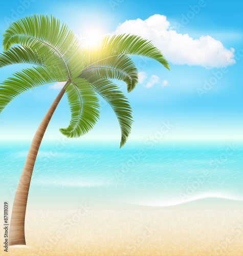 Beach with Palm and Clouds. Summer Vacation Holiday Background