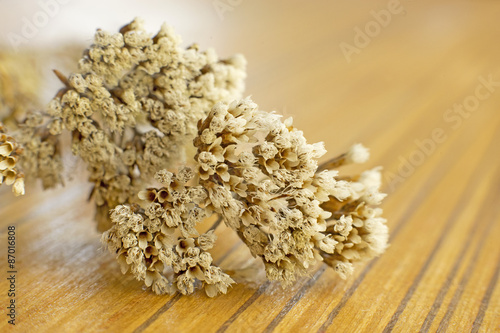 Dry flowers on wood table