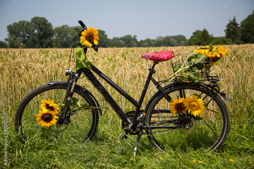 Fahrrad im Weizenfeld