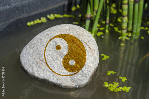 Photography Stein in Wasser mit Om, Yoga, Tai Chi, Qi gong, Feng Shui mit Wasserlinsen und S