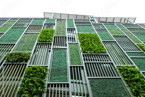 Green facade, vertical garden photo