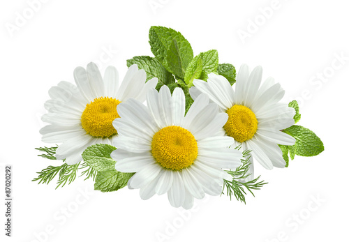 Photographie Chamomile flower mint leaves composition isolated on white