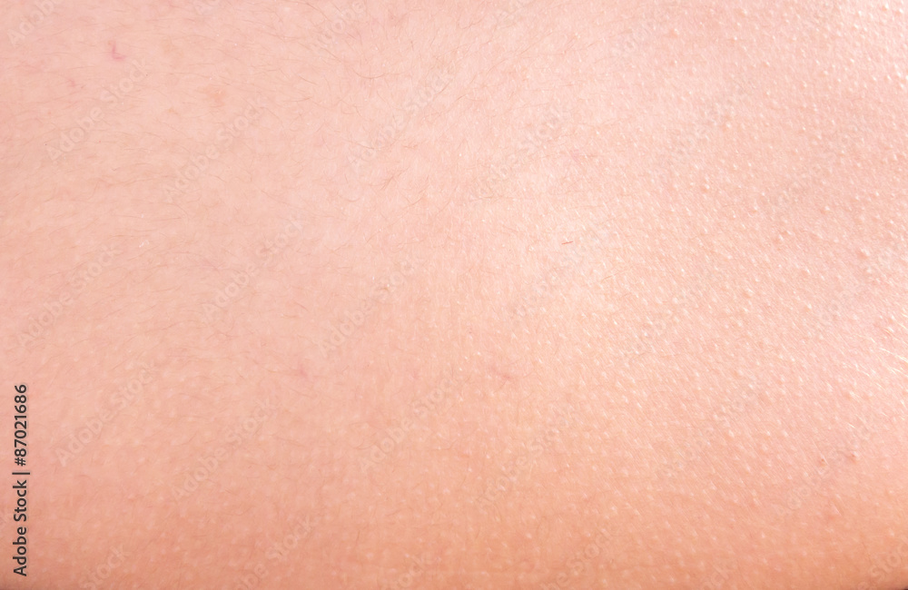 human skin human skin