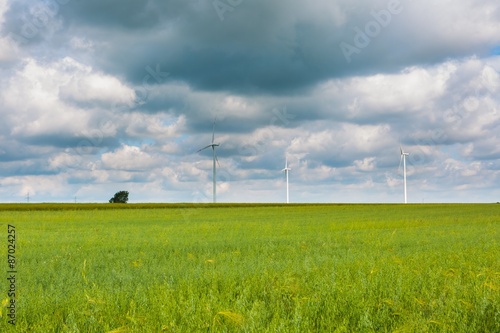 Windmills on corn field.