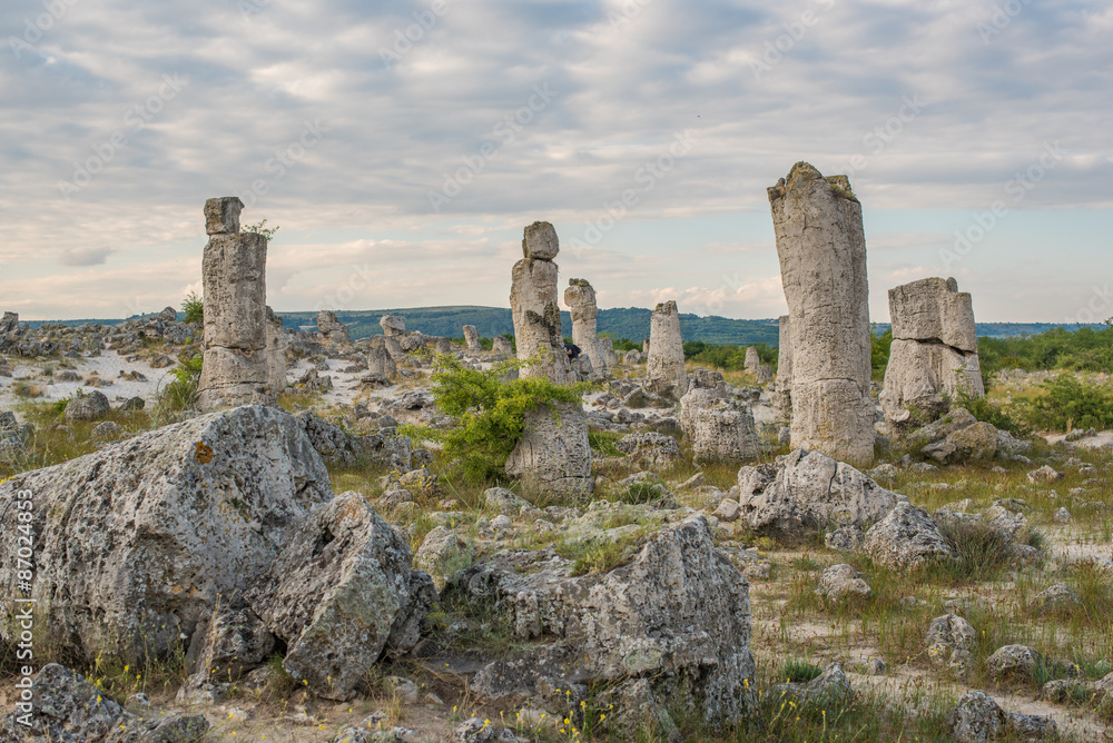 Stone Forest (Pobiti Kamani) next to Varna, Bulgaria