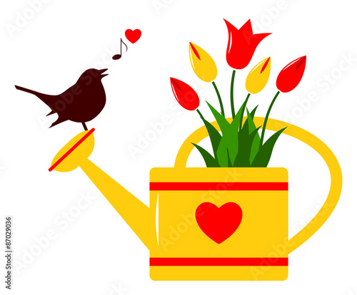 tulips in watering can
