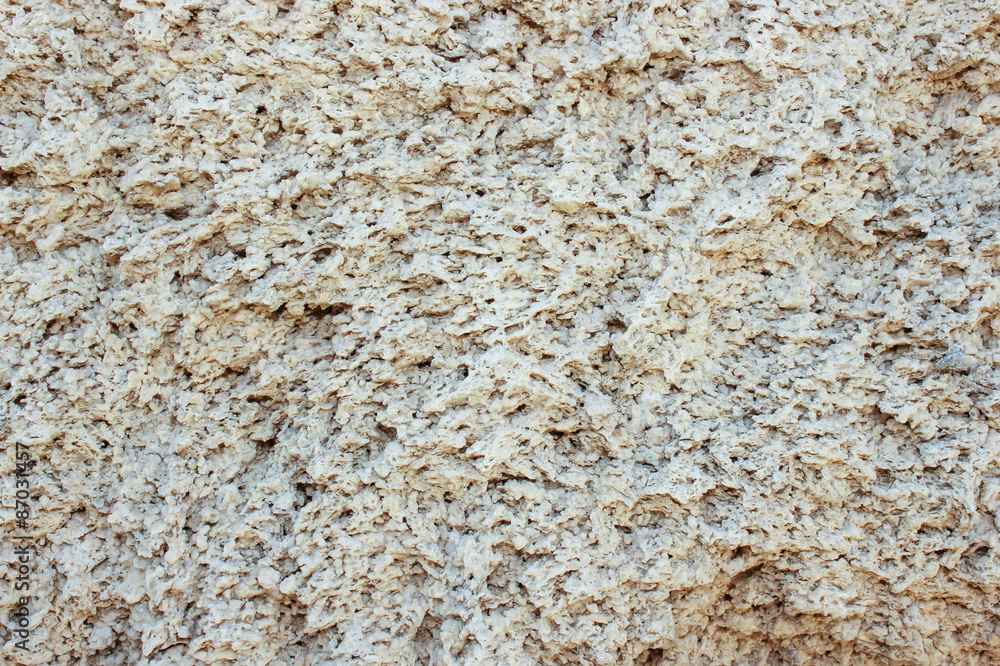 Shell rock texture Shell rock texture