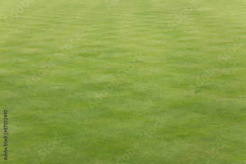 Short grass on a bowling green