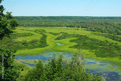 Field, Desna river and herd of cows