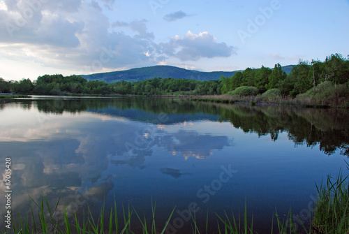 Lake and forest landscape