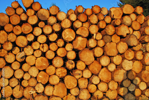 Wood logs