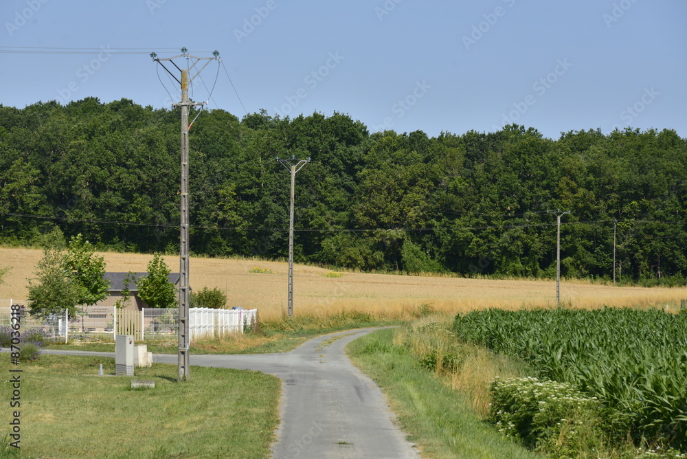 Route de campagne à travers champs près du village de Champagne