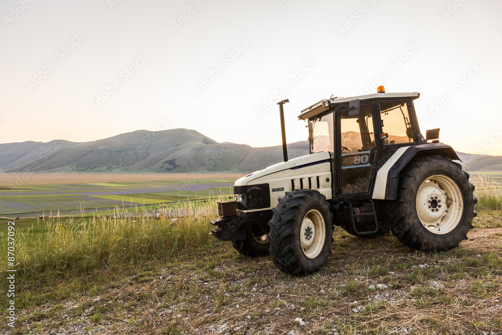 Fototapeta premium argricoltura italiana