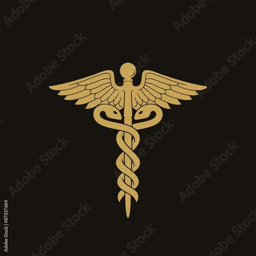 Caduceus / Vector illustration