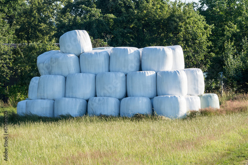 Stacked bales of harvested hay wrapped with plastic film on an early morning at the beginning of the summer season.