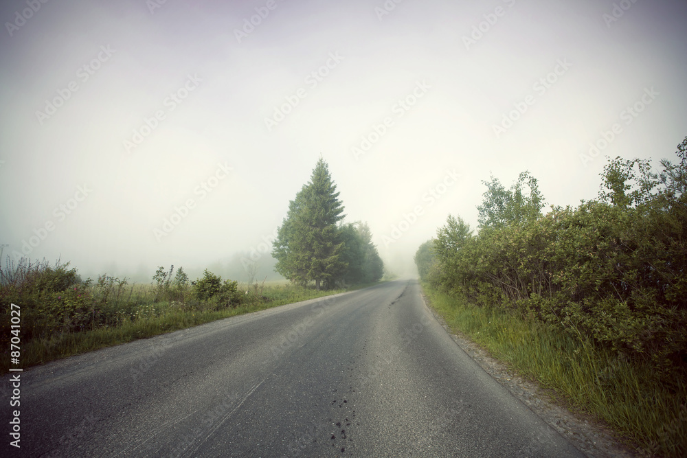 Foggy road, soft focus