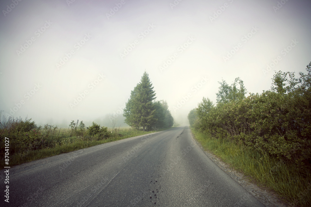 Fototapeta premium Foggy road, soft focus