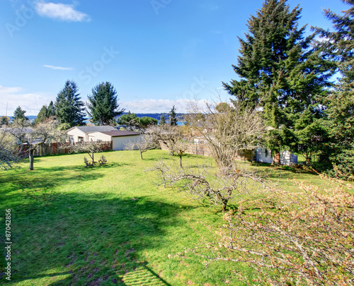 Wallpaper Mural Large authentic back yard with grass and trees. Torontodigital.ca