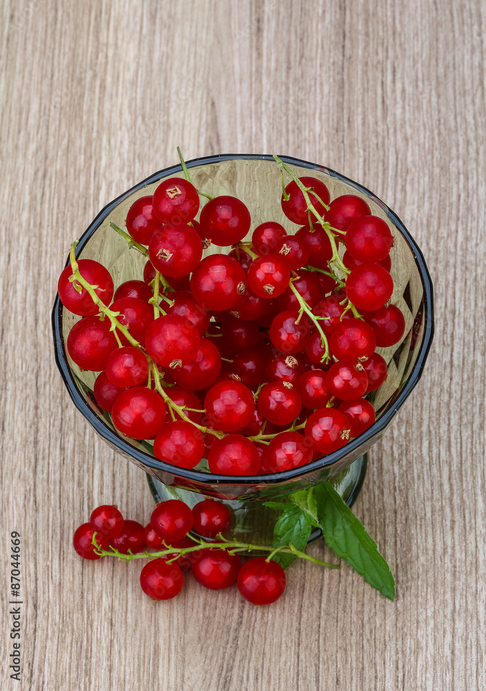 Red currant Red currant