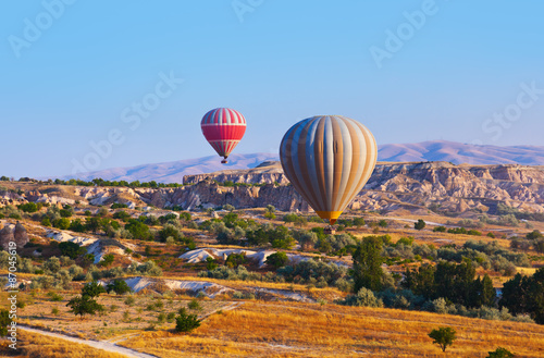 Hot air balloon flying over Cappadocia Turkey © Nikolai Sorokin