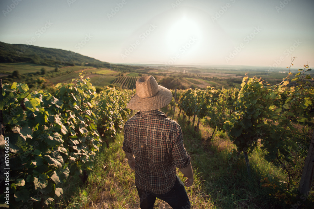 Satisfied farmer with hat standing in his vineyard